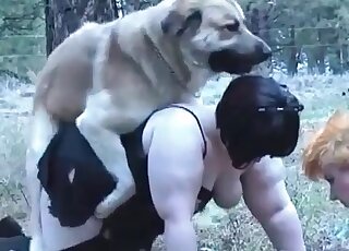 Couple of fat babes flock to animal cocks in 1080p