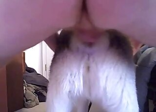 Canine vag getting screwed by an alpha male