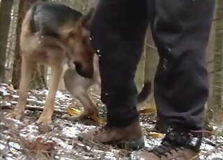 Awesome zoophilic video with stepfam fucking