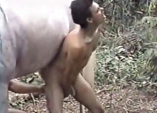 Criatura realmente pervertida transa na frente da câmera