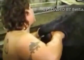 Farm animal is enjoying nasty bestiality porn so much