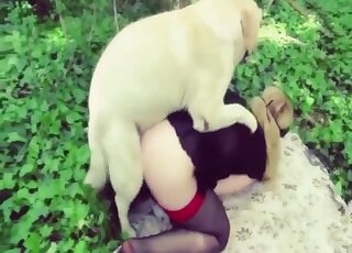 White animal decides to bang that hole deeply