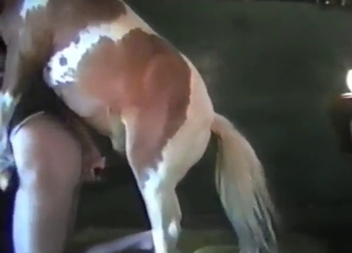 Dude with a nice ass fucks a big dick horse