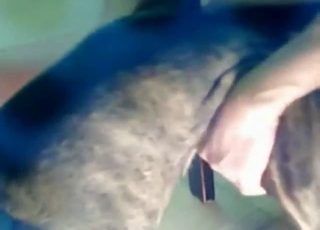 Hot bestiality sex with a guy who fucks his dog