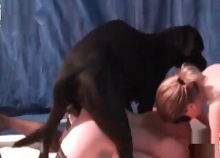 Filthy and painful anal bestiality with dog