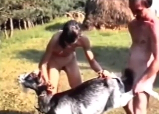 Goat threesome with close-up fucking and more