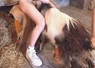 Good farm bestiality XXX session with leggy babes