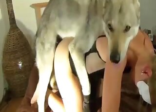 Enjoyable amateur bestiality XXX porn session